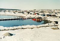 tn_sealhunt.jpg (5038 bytes)